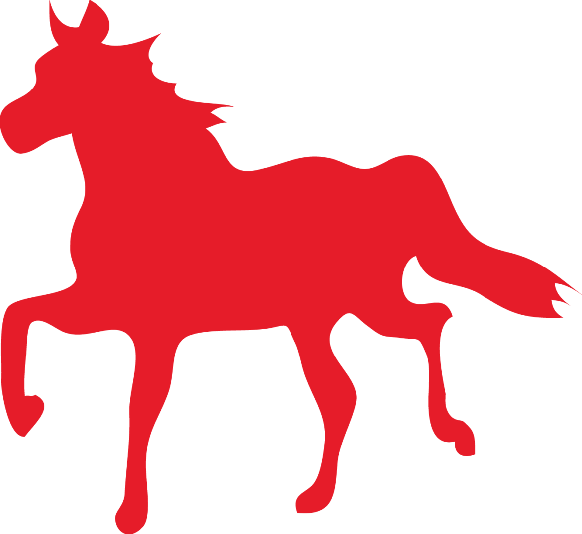 Willkommen im Jahr des Yang-Feuer-Pferdes