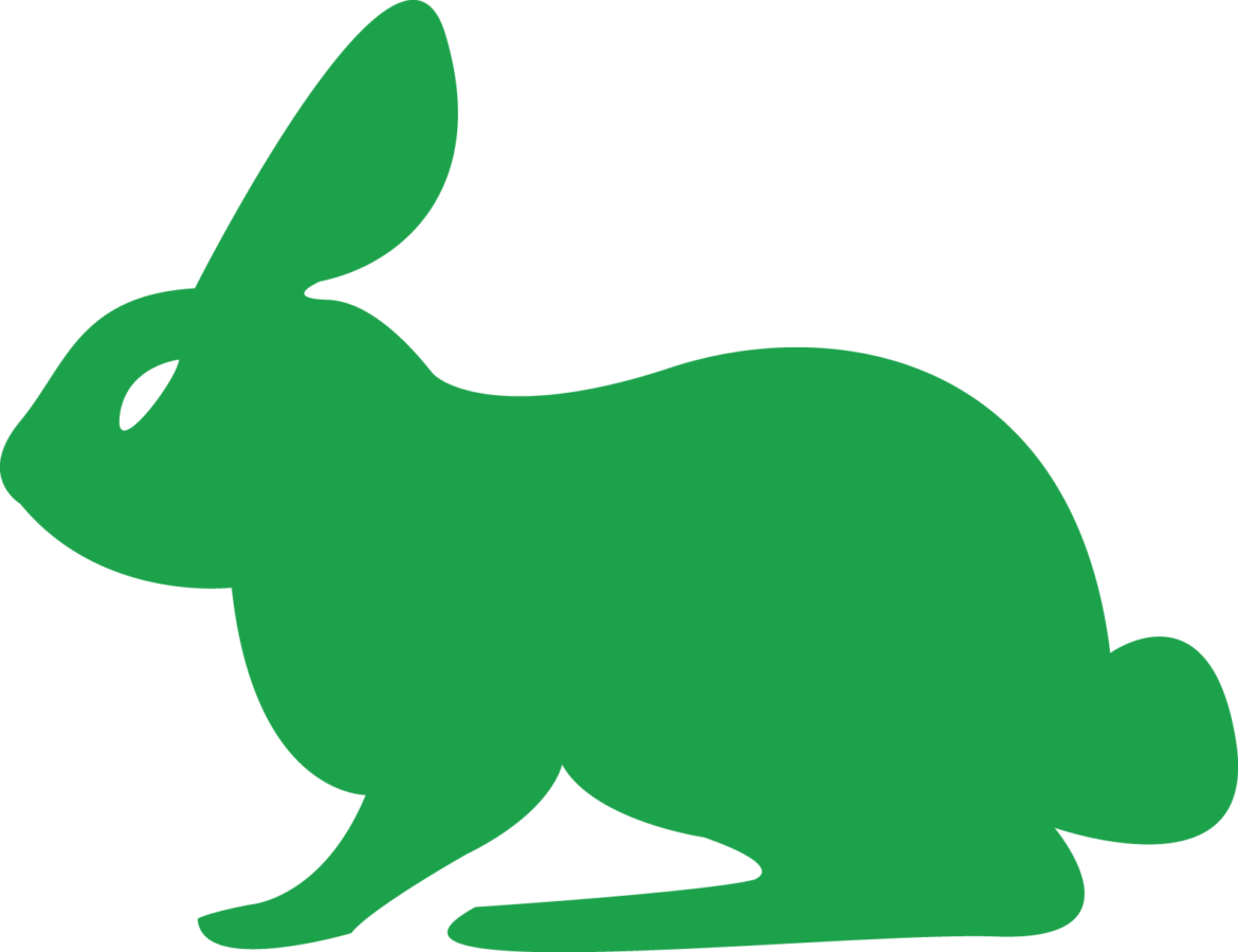 What can I expect from the year of the rabbit?